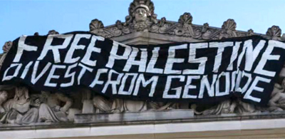 Pro-Palestine Protestors Seize Brooklyn Museum